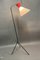 Floor Lamp, France, 1950s, Image 3