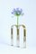 Mirrored Brass Bicaudata Vase by Ilaria Bianchi, Image 3