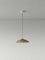 Small Brown Headhat Plate Pendant Lamp by Santa & Cole 3