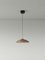 Small Brown Headhat Plate Pendant Lamp by Santa & Cole 4