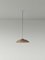 Small Brown Headhat Plate Pendant Lamp by Santa & Cole 2