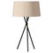 Natural Trípode G6 Table Lamp by Santa & Cole 1