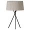 Bretona Tripod M3 Table Lamp by Santa & Cole, Image 1