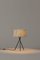 Bretona Tripod M3 Table Lamp by Santa & Cole 3