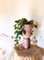 Planter Clay Vase 19 by Lisa Allegra 2