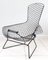 Bird Chair by Harry Bertoia for Knoll International, 1952, Image 1