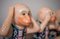 Tres monos chinos de porcelana, años 50. Juego de 3, Imagen 5