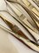 Large Silver Savoy Cutlery Set from Robbe & Berking, 1970s, Set of 97 7