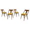 Vintage Walnut and Yellow Fabric Chairs attributed to Mier, Czech, 1960s, Set of 4 1