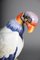 Large King Vulture from Meissen, 1880, Image 5
