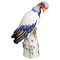 Large King Vulture from Meissen, 1880 1