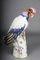 Large King Vulture from Meissen, 1880 3