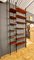 Libreria in metallo, ottone e legno, Italia, anni '50, Immagine 2