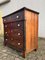 Empire Style Painted Elm Chest of Drawers, 1850 4