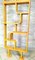 Room Dividers attributed to Ludvik Volak for Drevopodnik Holesov, Set of 2 14