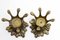 Flowers Candle Holders in Bronze and Glass, 1960s, Set of 2 6