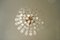 Large Mid-Century Brass & Crystal Glass Ceiling Lamp from Christoph Palme 6