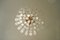 Large Mid-Century Brass & Crystal Glass Ceiling Lamp from Christoph Palme, Image 6