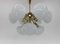 Brass and Opaline Glass Sputnik Chandelier attributed to Kamenicky Senov, 1970s 12