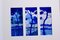 Aurélie Trabaud, Blue pins - Loving trees No.3, 2022, Oeuvre sur Papier 11