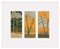Aurélie Trabaud, Orange pines - Loving trees, 2022, Artwork 8
