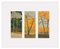 Aurélie Trabaud, Orange pines - Loving trees, 2022, Obra de arte, Imagen 2
