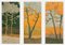 Aurélie Trabaud, Orange pines - Loving trees, 2022, Artwork, Immagine 4