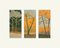 Aurélie Trabaud, Orange pines - Loving trees, 2022, Artwork 7