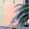 Aurélie Trabaud, Sombra de palma en una pared rosa N ° 2, 2022, Acrílico y pigmento, Imagen 1