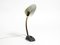 Small Table Lamp with Metal Gooseneck from Cosack, Germany, 1950s 15