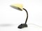 Small Table Lamp with Metal Gooseneck from Cosack, Germany, 1950s, Image 17