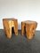 French Walnut Side Tables, 1960s, Set of 2 4