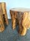 French Walnut Side Tables, 1960s, Set of 2 10