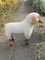 Handmade White Wool Sheep from Hanns-Peter Krafft, Germany, 1970s, Set of 2 11