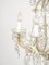 8-Flame Chandelier by Maria Theresia 5