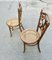 Sedia Dining Chair by Michael Thonet for Thonet 3