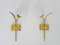 Vintage Wall Lights Strand of Wheat in Brass with Glass Tulips, 1960s 1