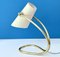 Lampe de Bureau Vintage attribuée à Rupert Nikoll, 1960s 2