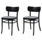 MZO Chairs by Mazo Design, Set of 2 1