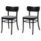 MZO Chairs by Mazo Design, Set of 2, Image 1