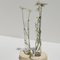 Clear Cochlea del Risveglio Vase by Coki Barbieri 5