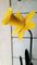 Daffodil Floor Lamp from Peter Bliss, 1987 8