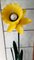 Daffodil Floor Lamp from Peter Bliss, 1987, Image 6