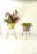 Mid-Century Scooby-Doos Plant Stands, Italy, 1960s, Set of 2, Image 8