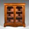 English Regency Double-Pier Glazed Display Cupboard, 1820s 2