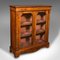 English Regency Double-Pier Glazed Display Cupboard, 1820s 1