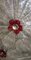 Vintage Clear and Red Ceiling Light 8