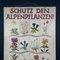 Poster della Scuola Botanica, Austria, anni '30, Immagine 2