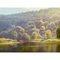 Christopher Osborne, Summer Scene on Tree Lined River with Cattle in English Countryside in Sunshine, 1990, Oil on Board 7