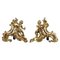 Louis XV Gilt Bronze Andirons, 1760s, Set of 2, Image 1